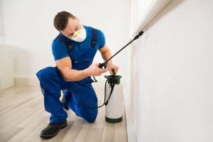 3 Qualities of a Great Exterminator