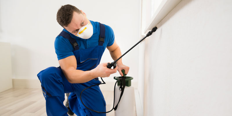 3 Qualities of a Great Exterminator