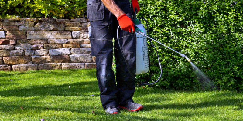 call a professional today for effective pest control 