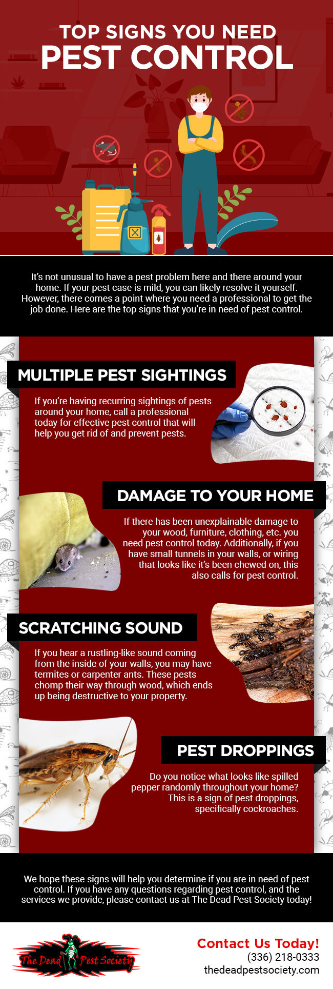 Top Signs You Need Pest Control