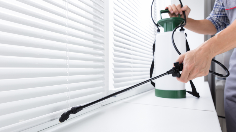 3 Things that Your Exterminator Wants You to Know
