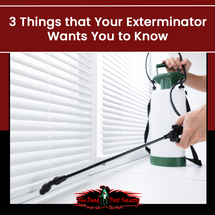 3 Things that Your Exterminator Wants You to Know
