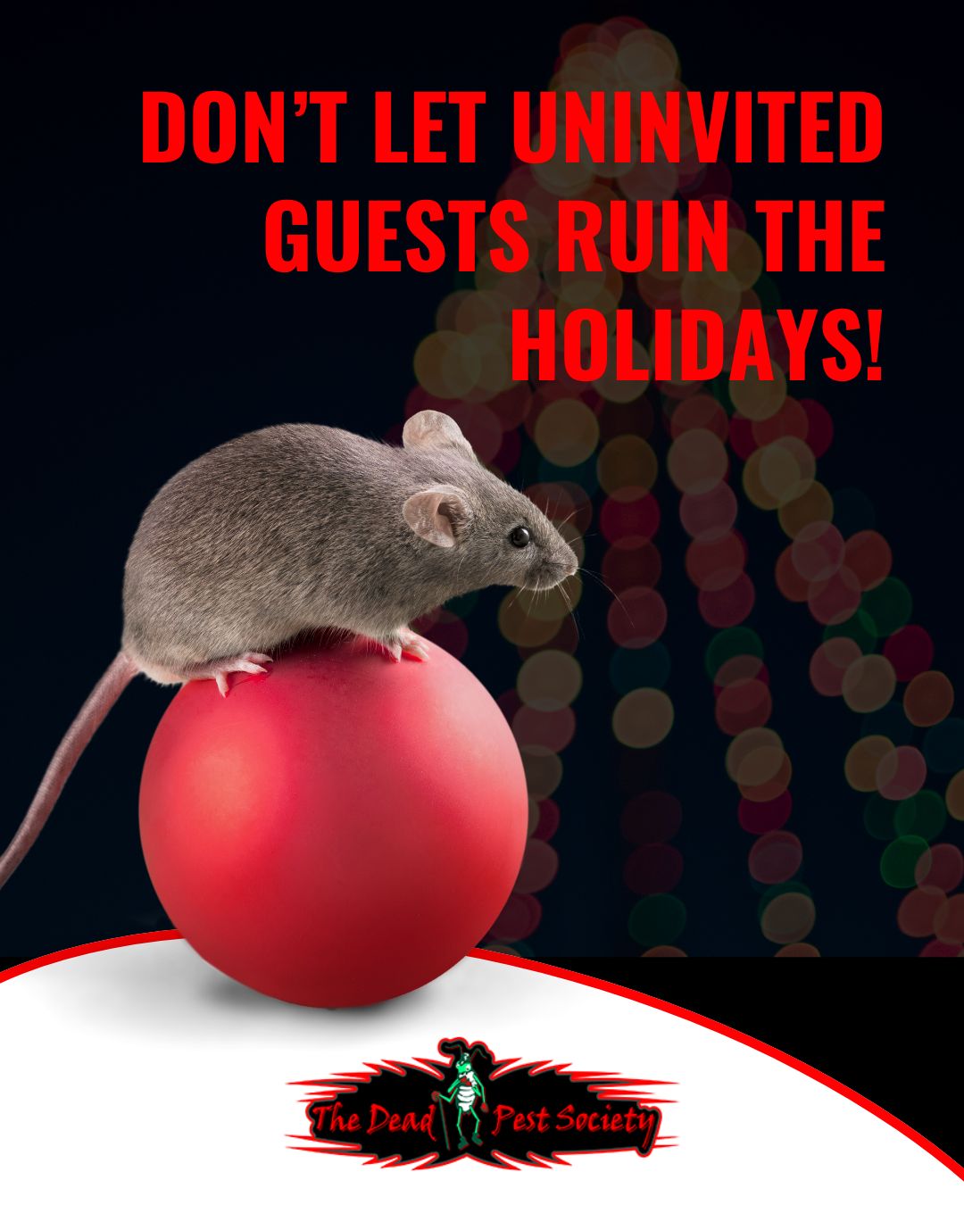 Don’t Let Uninvited Guests Ruin the Holidays!