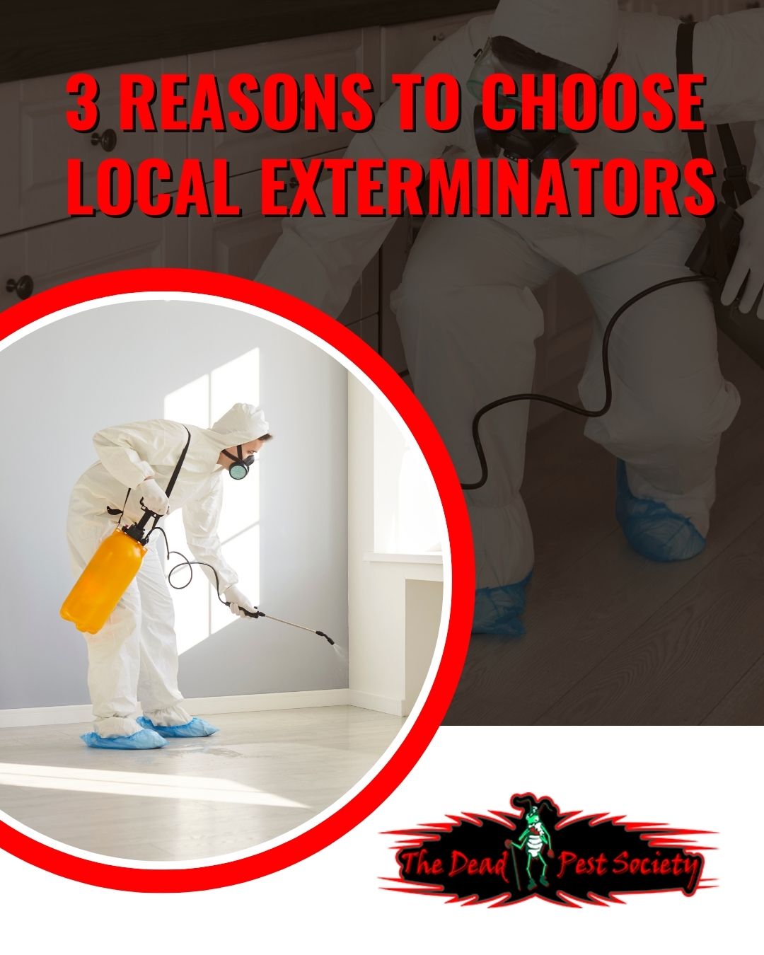 3 Reasons To Choose Local Exterminators
