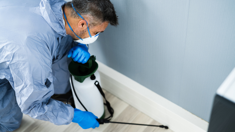 3 Reasons To Choose Local Exterminators