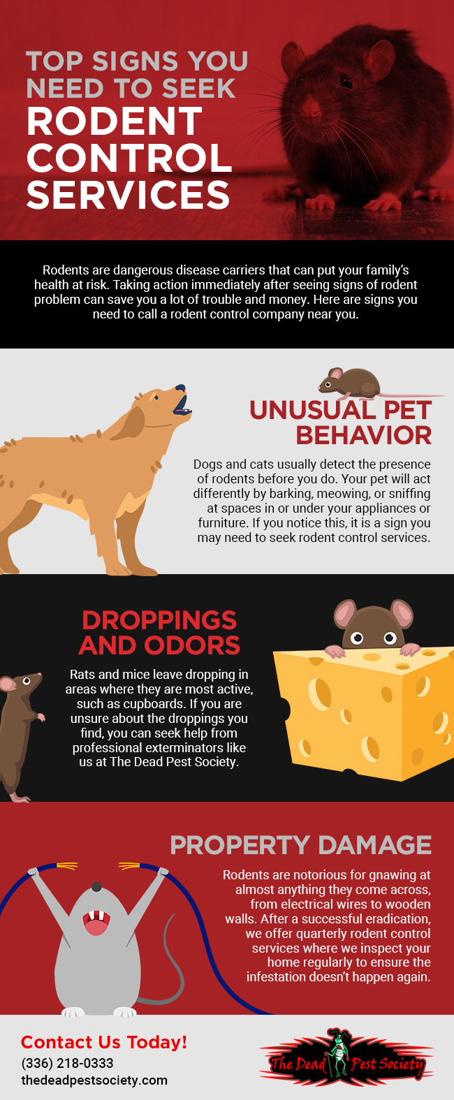 Top Signs You Need to Seek Rodent Control Services [infographic]