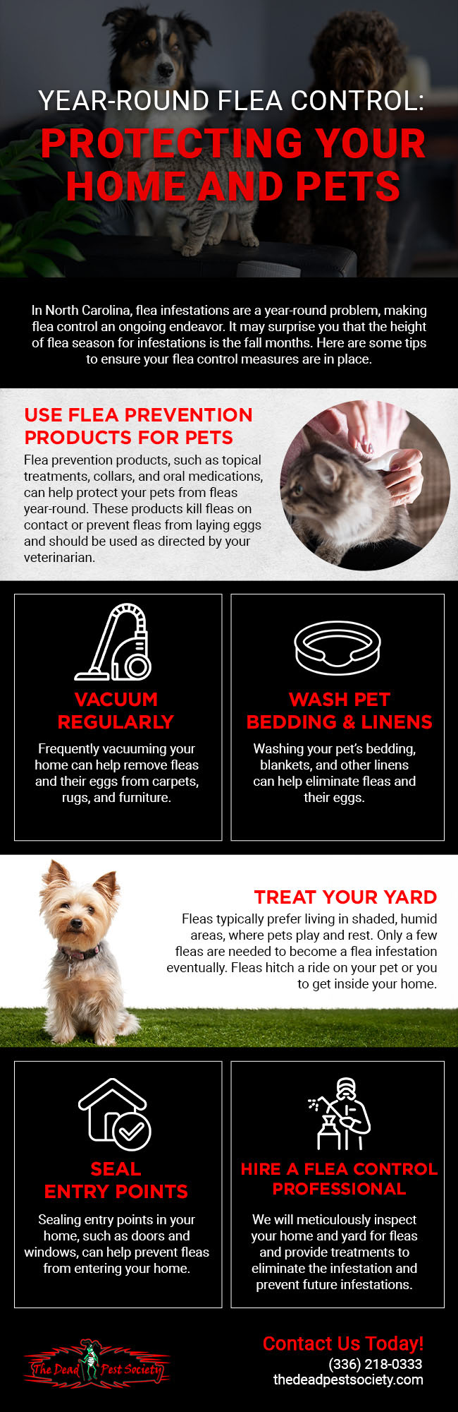 Year-Round Flea Control: Protecting Your Home and Pets