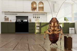 An Exterminator Plays An Essential Role in Home Comfort