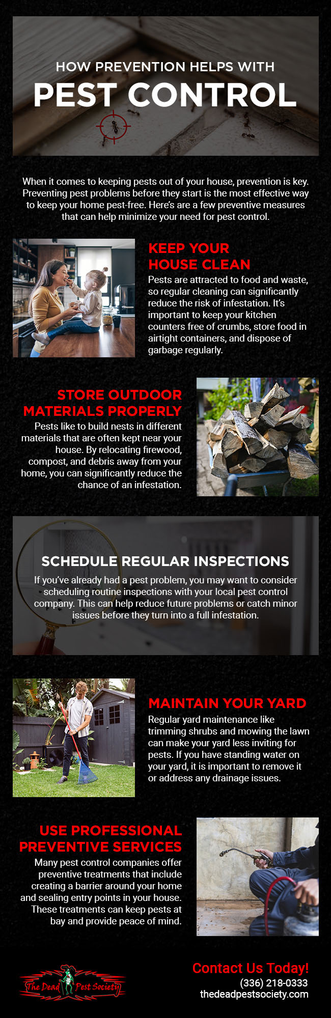 How Prevention Helps with Pest Control 