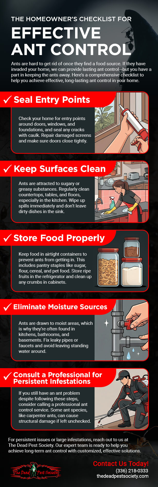 The Homeowner’s Checklist for Effective Ant Control 